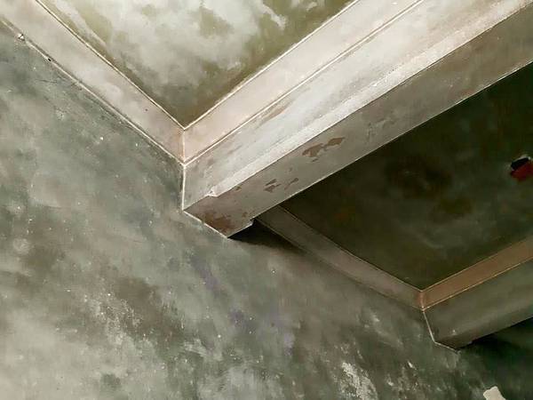 89290677_2424650577635518_4060578621281009664_n 89290677_2424650577635518_4060578621281009664_n