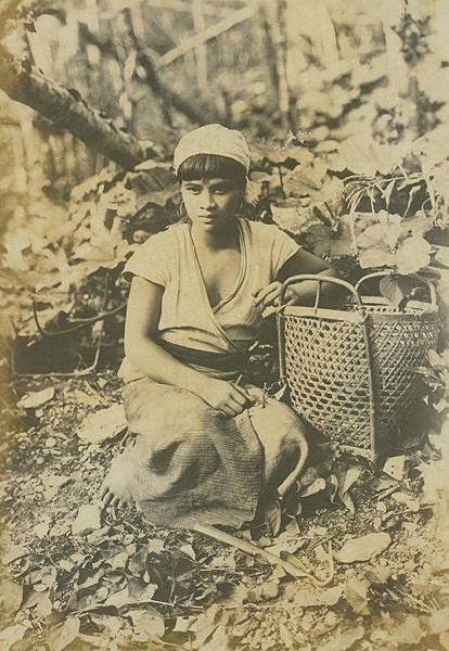 老照片/臺灣日日新報社原為落成於1908年的二層樓建築，19