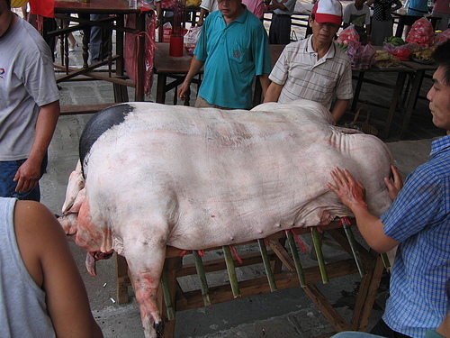 2020年義民祭-「義魄千秋」/新竹縣新埔褒忠義民廟15聯庄