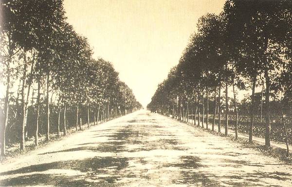 橫山鄉客家庄聯安橋+大山北月(大山背人文生態館)-大山背休閒 橫山鄉客家庄聯安橋+大山北月(大山背人文生態館)-大山背休閒