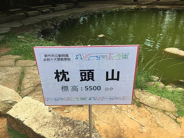 新竹公園位於新竹市區東南側海拔高度55公尺的「枕頭山」，是新