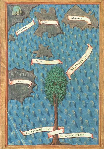 39n90000o80ooo3666q5 39n90000o80ooo3666q5