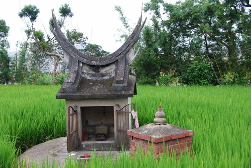 548706547_m 548706547_m