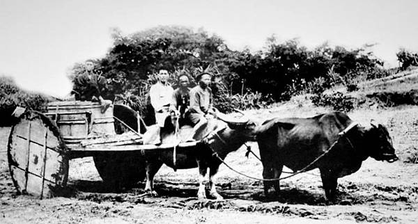 台灣最早出現的牛車，是板輪牛車。板輪牛車，顧名思義是以木板為