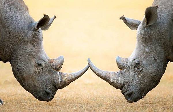 b8154d1ba2 b8154d1ba2