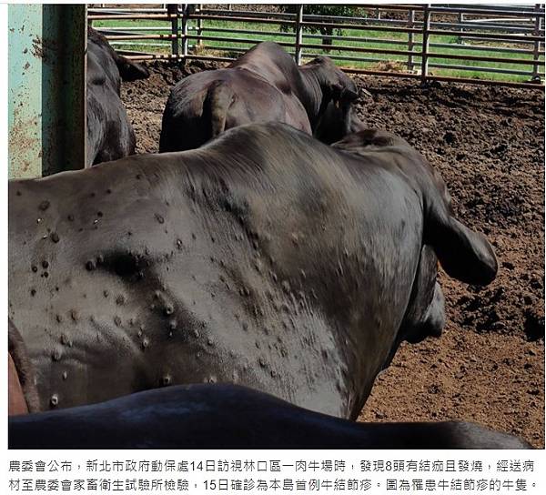 不吃牛肉/牛瘟病毒/《牛圖經》牢字從牛獄字從犬不食牛犬牢獄可