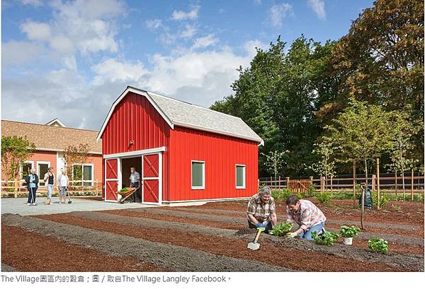 癡呆村-有座小鎮不論街道、建築物通通是假的,就連商店員工都是 癡呆村-有座小鎮不論街道、建築物通通是假的,就連商店員工都是