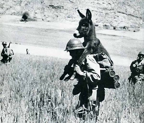 134110apxf4478t4873k84 134110apxf4478t4873k84