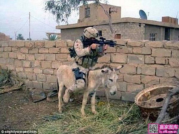 6678382089 6678382089