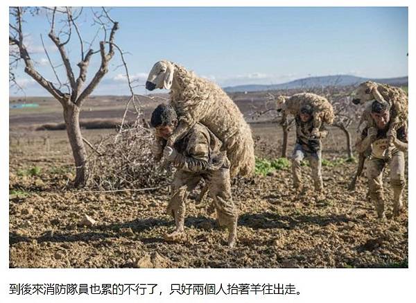 2021-05-31_092914 2021-05-31_092914