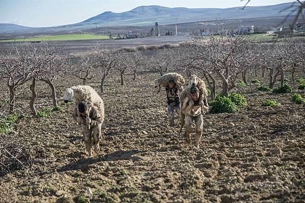 B634D1325B02w1280h853 B634D1325B02w1280h853