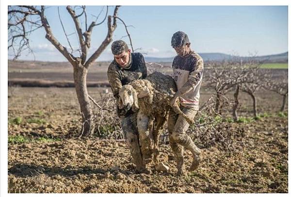 2021-05-31_092923 2021-05-31_092923