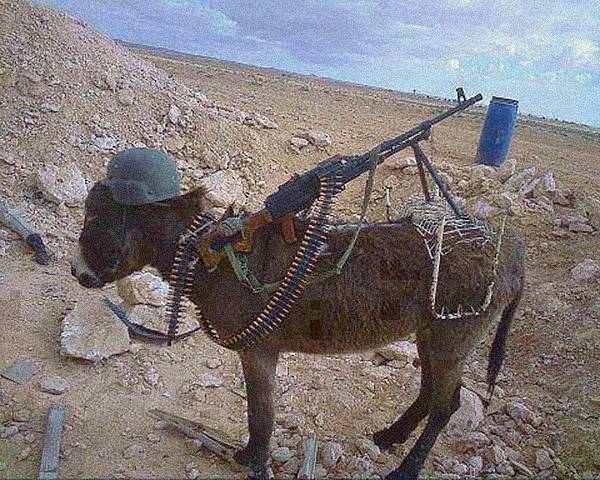 326_27897_397505 326_27897_397505