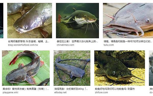 2021-06-16_203203 2021-06-16_203203