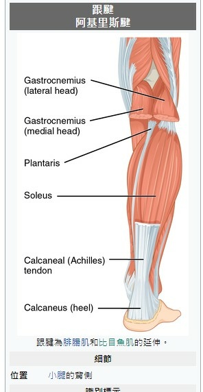 2021-07-31_175439 2021-07-31_175439