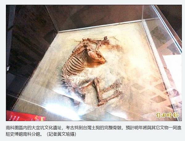 繼南科「台灣第一狗」挖出石虎或「台灣第一貓」/台灣規模最大的