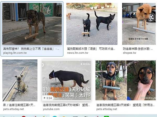 被狗追/實驗了4種防狗方法：1.噴水、2.丟甩炮、3.丟狗飼