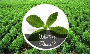 whatisstevia-300x183-300x183 (1)