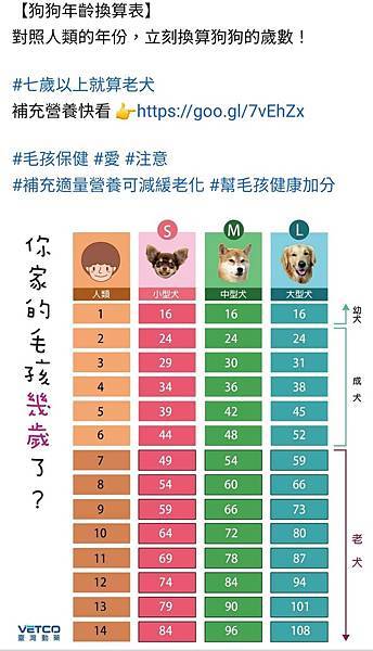 檢疫犬/愛狗貓/幾千年前，人類與狗開始共同進化。為了群居理由