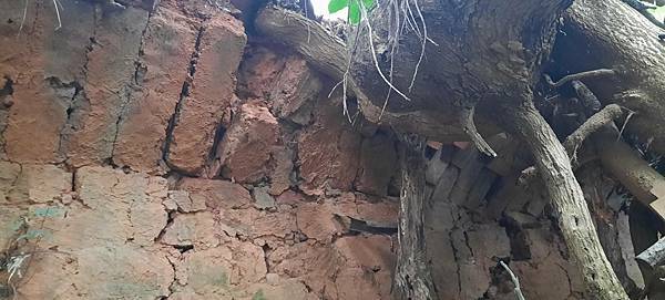 山崎地區磚瓦窯業/新豐鄉山崎地區早期磚瓦業「松林磚瓦業陳列館