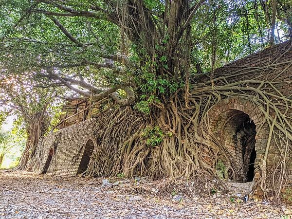 高雄大寮共益磚窯廠遺址八卦窯&瑞榮磚窯廠遺址目仔窯-歷史建築