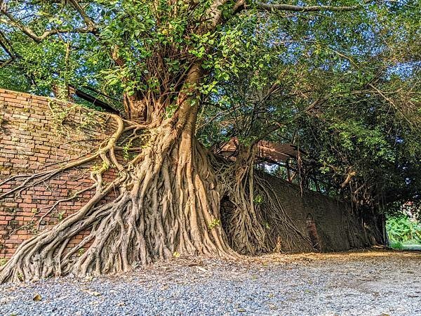 高雄大寮共益磚窯廠遺址八卦窯&瑞榮磚窯廠遺址目仔窯-歷史建築