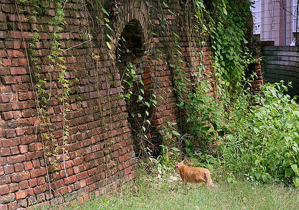 高雄大寮共益磚窯廠遺址八卦窯&瑞榮磚窯廠遺址目仔窯-歷史建築