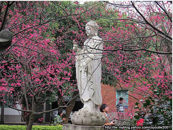 楊梅麟鳳宮-回善寺建於西元1900年-坐落於二重溪庄內-馬天 楊梅麟鳳宮-回善寺建於西元1900年-坐落於二重溪庄內-馬天