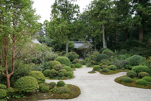 DSC01102-scaled DSC01102-scaled