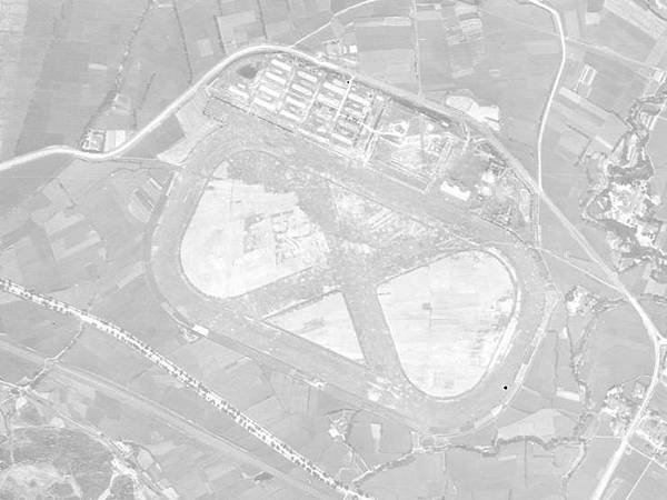 台灣養馬史荷蘭時期馬匹就傳入臺灣之後鄭成功的部將馬信帶領一批 台灣養馬史荷蘭時期馬匹就傳入臺灣之後鄭成功的部將馬信帶領一批