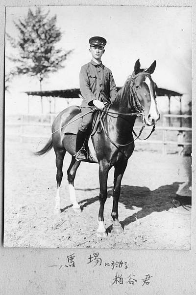 台灣養馬史荷蘭時期馬匹就傳入臺灣之後鄭成功的部將馬信帶領一批 台灣養馬史荷蘭時期馬匹就傳入臺灣之後鄭成功的部將馬信帶領一批