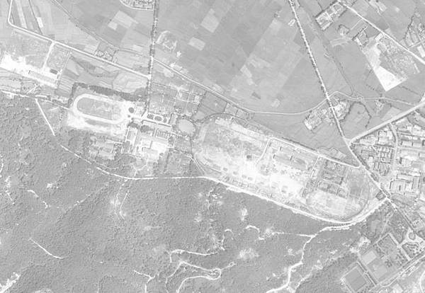 台灣養馬史荷蘭時期馬匹就傳入臺灣之後鄭成功的部將馬信帶領一批 台灣養馬史荷蘭時期馬匹就傳入臺灣之後鄭成功的部將馬信帶領一批