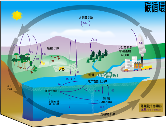 540px-Carbon_cycle-cute_diagram_zh-hant.svg