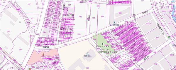 松林國小換地-縣府土地的價值高過於潤泰全球公司的土地-縣府土