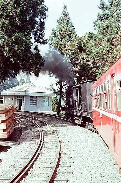 奮起湖車站/1920阿里山火車/110年前清代鋼軌仍在用