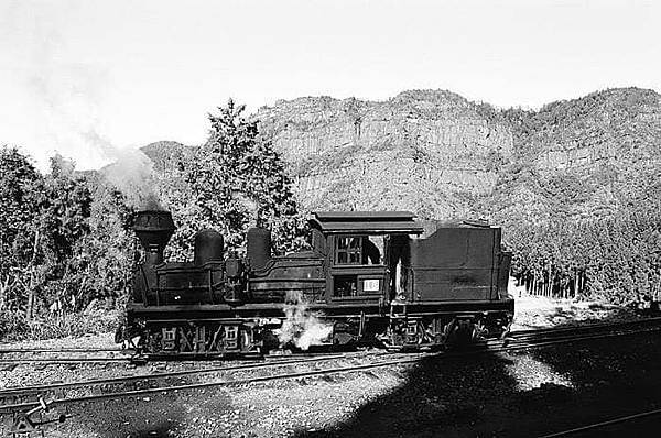 奮起湖車站/1920阿里山火車/110年前清代鋼軌仍在用