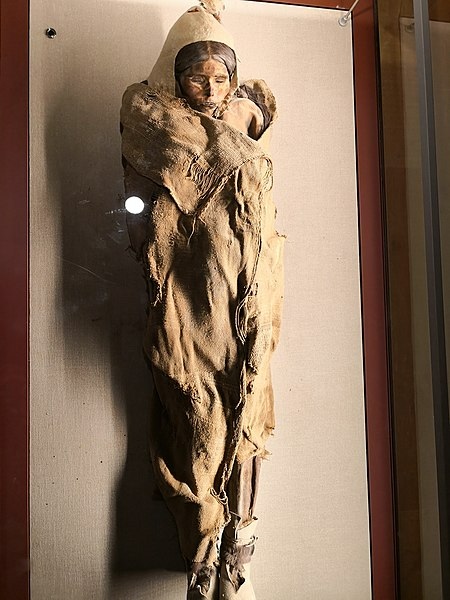 樓蘭美女-西元前1900年－1800年之間。因樓蘭女屍到日本