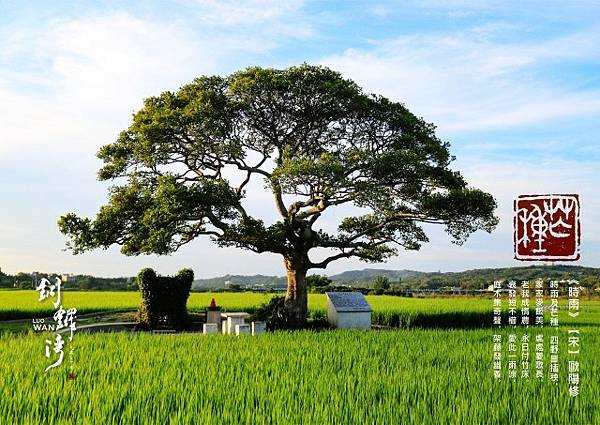 芒種-橫式-2021-6-5-4