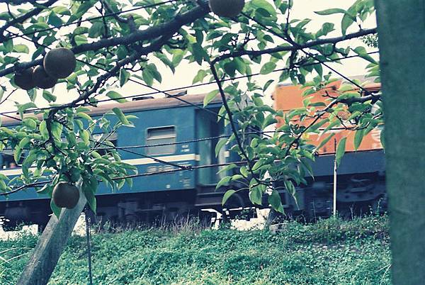 萬新鐵路-台鐵新店線-中和線及淡水線/新店站開業時間-192 萬新鐵路-台鐵新店線-中和線及淡水線/新店站開業時間-192