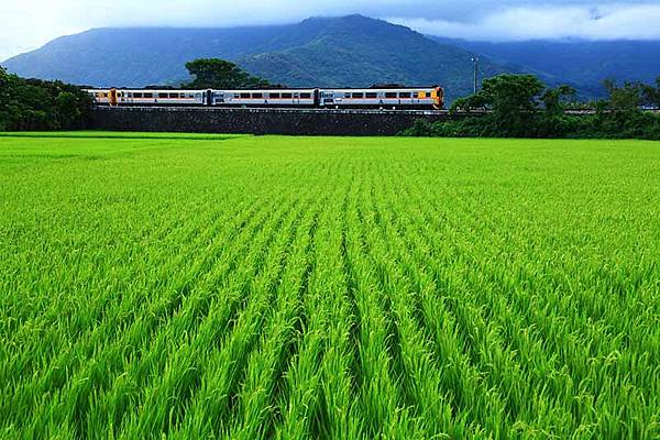 萬新鐵路-台鐵新店線-中和線及淡水線/新店站開業時間-192 萬新鐵路-台鐵新店線-中和線及淡水線/新店站開業時間-192