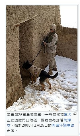 「近接戰鬥」「限制空間訓練,役男們在三角錐、帳篷與門窗組合而