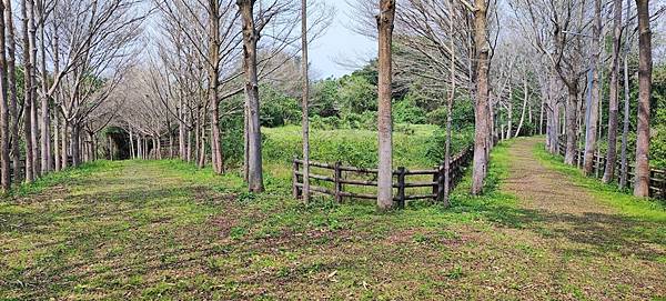 楊大人楊再雲+軍大王-軍王爺是在姜秀鑾開墾北埔等地，與原住民