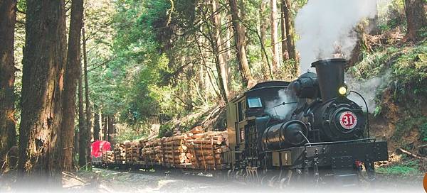 阿里山林業申請世界遺產-嘉義製材場-1914年由日人創設第一