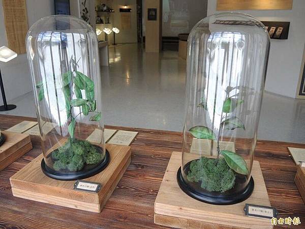 天仁茗茶+茶故事/茶業歷史 天仁茗茶+茶故事/茶業歷史