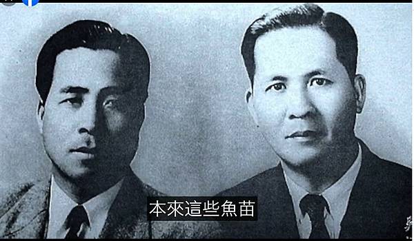 吳郭魚/天道盟天鷹會與不倒會黑道份子以一斤42元的進貨價向南 吳郭魚/天道盟天鷹會與不倒會黑道份子以一斤42元的進貨價向南