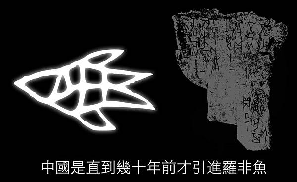 吳郭魚/天道盟天鷹會與不倒會黑道份子以一斤42元的進貨價向南 吳郭魚/天道盟天鷹會與不倒會黑道份子以一斤42元的進貨價向南