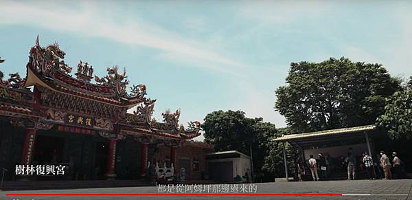 石門水庫移民村-草漯石門水庫移民新村衛生所-歷史建築-觀音草 石門水庫移民村-草漯石門水庫移民新村衛生所-歷史建築-觀音草