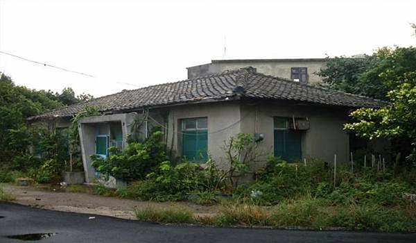 石門水庫移民村-草漯石門水庫移民新村衛生所-歷史建築-觀音草 石門水庫移民村-草漯石門水庫移民新村衛生所-歷史建築-觀音草