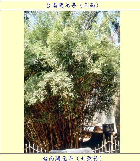 《明鄭北園別館遺址～台南古剎開元寺》開元寺即海會寺符合「伽藍
