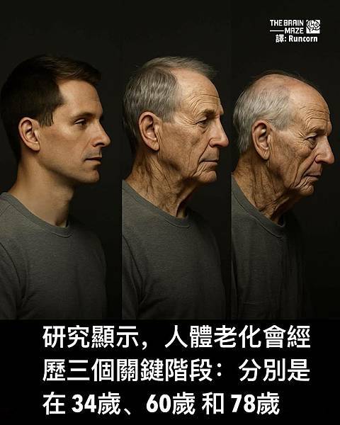 老照片/達觀 台北 線上博物館 台灣1895日本官方照片集